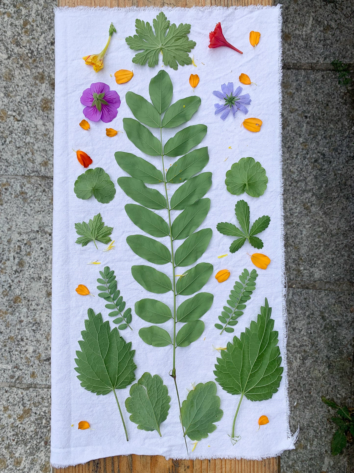 Natural colours : Bundle dyeing workshop : June 7th