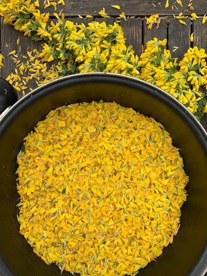 Natural colours : Bundle dyeing workshop : June 7th